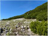 Jakobe - Bistriška špica/Feistritzer Spitze